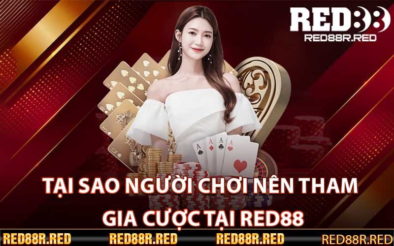 Tại sao người chơi nên tham gia cược tại Red88